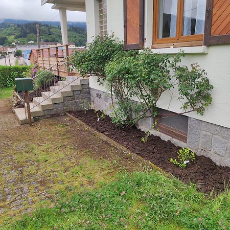Gite Papillon 6 A14 Personnes - Jacuzzi Gérardmer Exteriör bild